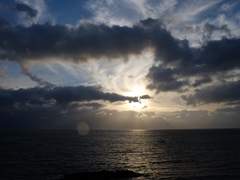 여느 날(Usual Day)