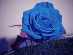 가장 고귀한 승리자에게.