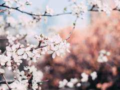 그드십 | 누구에게나 찬란한