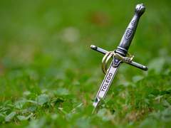 라비나 (드림주) 설정