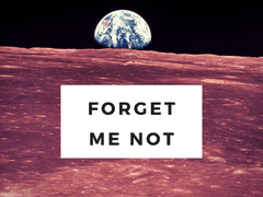 Forget me not
