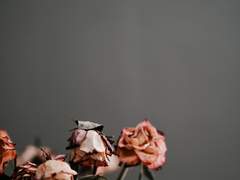 희망은 처음부터 없었습니다.