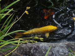 [망기무선] 염라왕의 어떤 하루