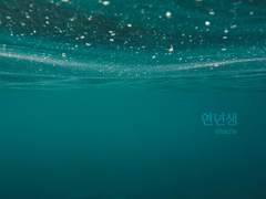 [아베미:타카렌슌] 연년생 下