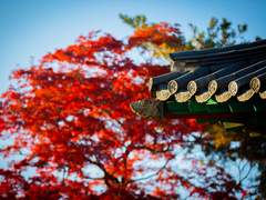 [오키카구] 그 도둑의 사정