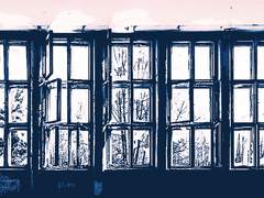 다시 말해봐, 오늘이 무슨 날이라고?