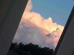 뱀의 눈깔, 혓바닥, 체온