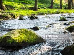 삶을 낚아올린 날