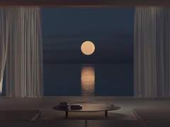 달이 떴다고 연락을 주시다니요, 그런 일로 전화하지마세요. 국제전화 비싸요. (3/3)