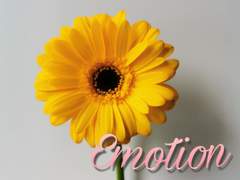 [지하군 중편소설]감정.1 정서