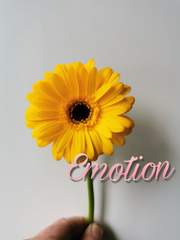 [지박소년 하나코 군]중편소설.감정