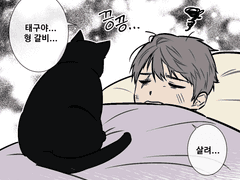 태구냥이 키우는 윤화평