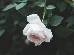 미래예견 - 메신저