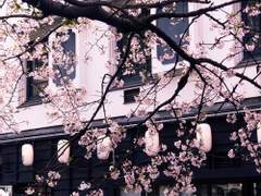 몬마 사유리 타임라인