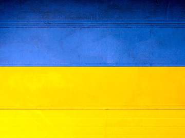 수영장 오필리아 8