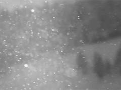 서리가 진 들판을 지나