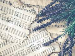 [알렉매그/말렉] Take my hand 1