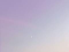 꽤나 오랜만에 눈물이 맺혔다