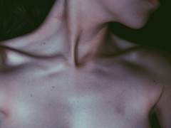 그가 제일 좋아하는