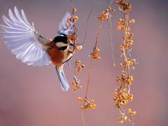 쉽게 읽는 일반생물학 (1)