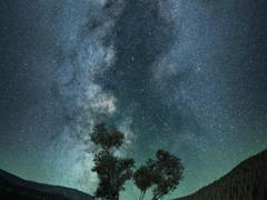 진혼 : 期 (기약)