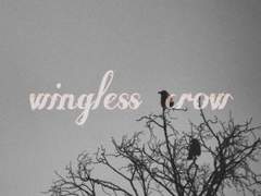 날개 없는 까마귀 1