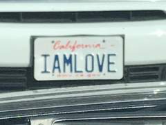 우당탕탕 헤남 꼬시기 1