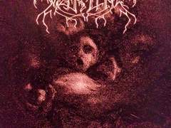 354. Dead as Dreams - Weakling