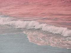 [막조] 바다에 갈까