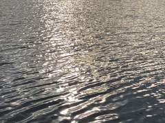 오늘도 선을 넘지 못했다