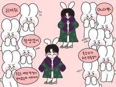 코튼플렌 부둥부둥