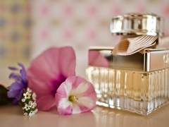 [사나라이] 다정