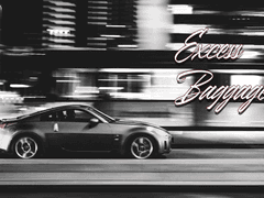 초과 수하물 배포