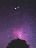 검색어를 입력하세요 www