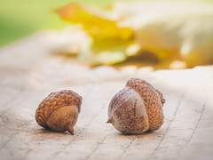 마법사의 저주를 푸는 법 (1)