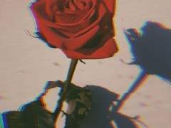 사랑과 증오는 한 끗 차이지.