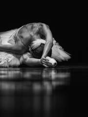 블랙스완 Black Swan