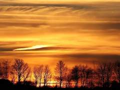 [노아매니] 선물