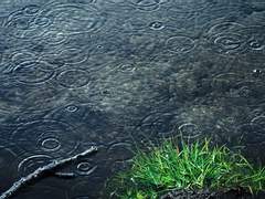 [기이매니] 특수효과