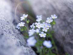 [육식] 갑자기 내게 나타난ㅡ