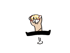 공지👀💖 (MAIN) 확인 부탁드려요