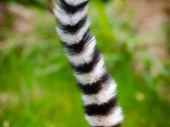 2/29 스팁토니 전력 - I adore you