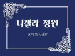 [현제유진] 니겔라 정원 05