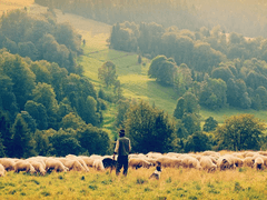 태초에 말씀이 계시니라