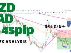 Forex NZDCAD 분석. FX마진거래. FX외환거래