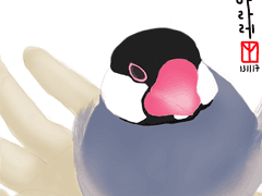 [아라레] 초기 그림들 2