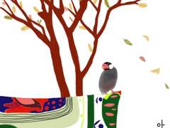 [아라레] 봄과 가을의 아라레