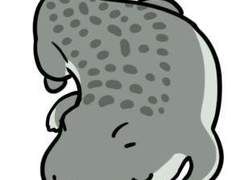 디비휴 장르 유료발행 목록