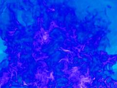 [-] 서로에게 길들여지기 추천 W. 42