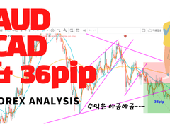 Forex AUDCAD 분석. FX마진거래. FX외환거래